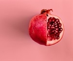 Microbial metabolite from pomegranates can reduce and protect against IBD