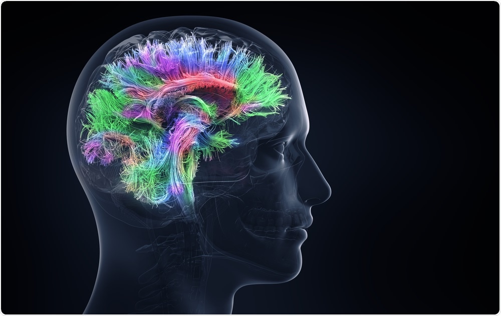 Illustration showing the neural activity of the brain - by Adike on Shutterstock