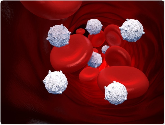 Illustration of white and red hematological blood cells in the blood stream - by decade3d