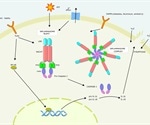 Pyroptosis Pathway and Triggers