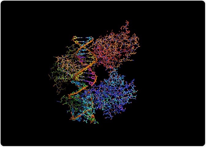 illustration of p53 (a protein) bound to DNA - By ibreakstock