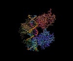 Predicting Protein Function from DNA Sequences