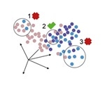 Newly developed algorithms can predict and correct errors in single cell analyses