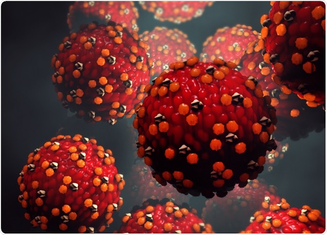 3d illustration Measles virus. Image Credit: Design Cells / Shutterstock