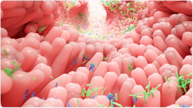 Human microbiota in intestine - Illustration. Image Credit: Alpha Tauri 3D Graphics / Shutterstock