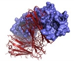 Wyatt Technology highlights protein-protein interactions study investigated by dynamic light scattering
