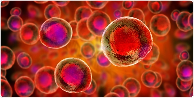 Stem cells illustration. Image Credit: Giovanni Cancemi / Shutterstock