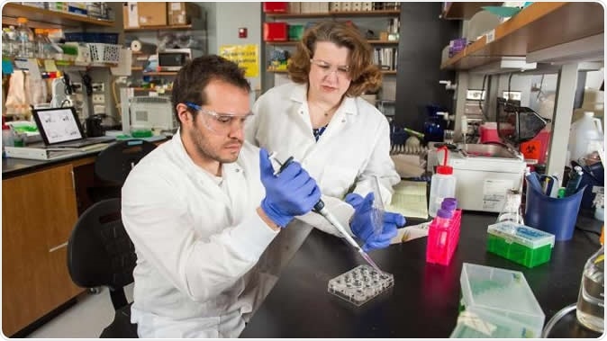 Scientist Laurie Littlepage works with graduate student Ricardo Romero Moreno in her lab at the Harper Cancer Research Institute. Image Credit: Barbara Johnston/University of Notre Dame.