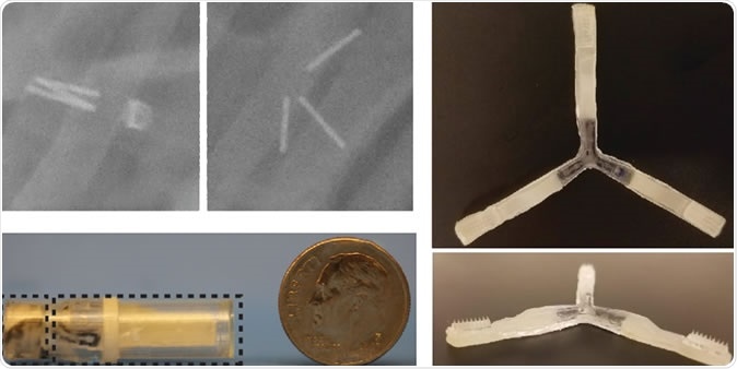 X-ray images at top left show the drug-delivery capsule in the intestine, before and after the arms expand. At right, the arms are unfolded to reveal the microneedles. Image Credit: MIT