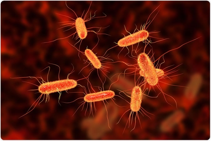 Escherichia coli bacterium, E.coli, gram-negative rod-shaped bacteria, part of intestinal normal flora and causative agent of diarrhea and inflammations of different location, 3D illustration Credit: Kateryna Kon / Shutterstock