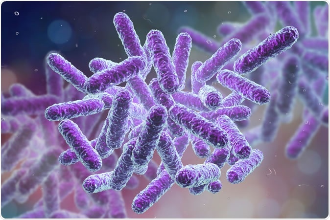 Enterobacteriaceae, gram-negative rod-shaped bacteria, part of intestinal microbiome and causative agents of different infections, 3D illustration. - Illustration Credit: Kateryna Kon / Shutterstock