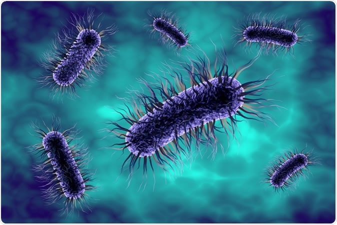 Three-dimensional drawing of bacterium Escherichia coli - Image Credit: Kateryna Kon / Shutterstock