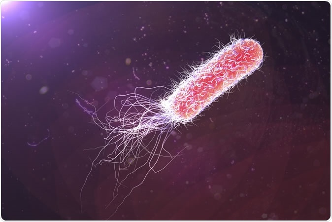 Bacterium Pseudomonas aeruginosa. Illustration shows polar location of flagella and presence of pili on the bacterial surface. Image Credit: Kateryna Kon / Shutterstock