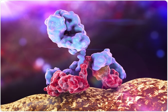 Antibody attacking bacterium. Immunoglobulin, 3d view. Image Credit: Kateryna Kon/ Shutterstock