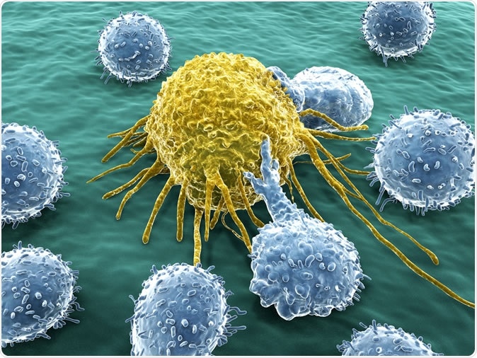 Cancer cell and lymphocytes. Image Credit: Juan Gaertner / Shutterstock
