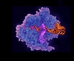 Improved Cas9 enzyme reduces chance of off-target CRISPR mutations