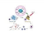 New nanoenzyme may help increase anti-tumor immunity