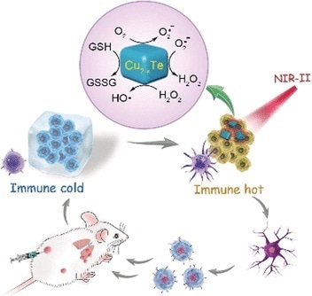 New nanoenzyme may help increase anti-tumor immunity