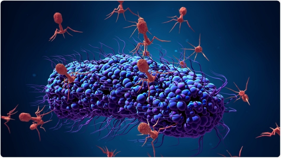 antibacterial-phage
