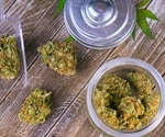 Health Effects of Eating Cannabis (Marijuana)