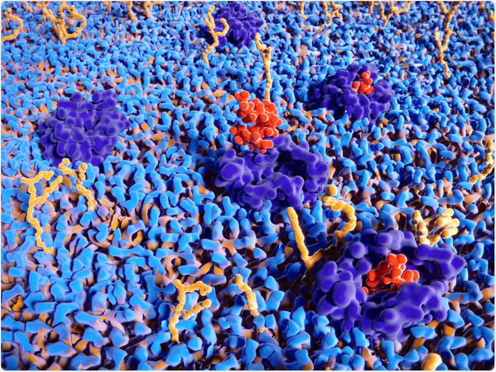protein binding on cell membrane