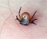 Tick-borne brain infection reported in UK