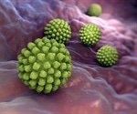 Rotavirus plays role in development of type 1 diabetes