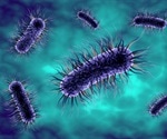 E. coli superbug spreading by poor toilet hygiene, not through food