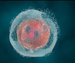 Cell death 'blocker' could speed recovery and save lives