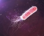 Mechanism for antibiotic resistance in Pseudomonas explained in new research