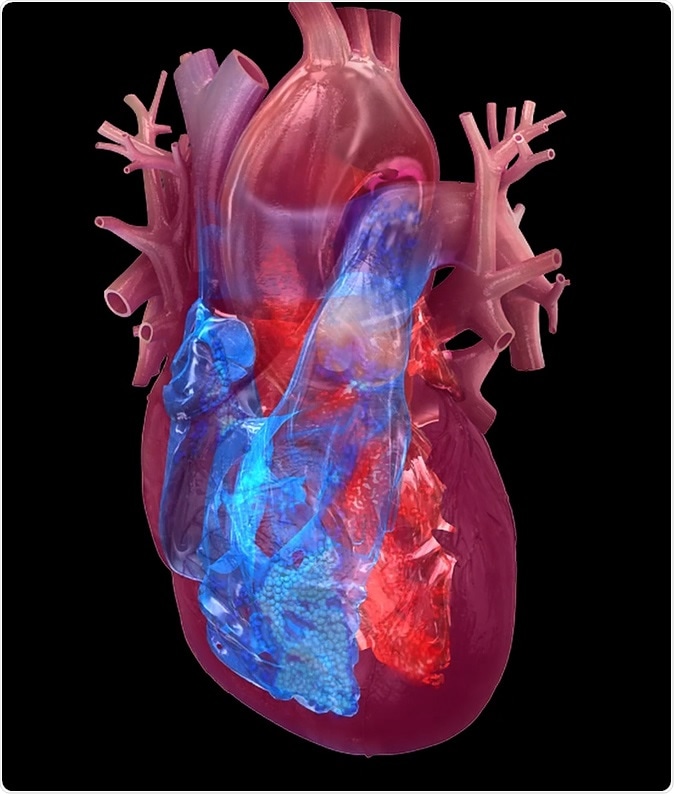 4 chambers of the heart: right atrium, right ventricle, left atrium, left ventricle. Copyright American Heart Association