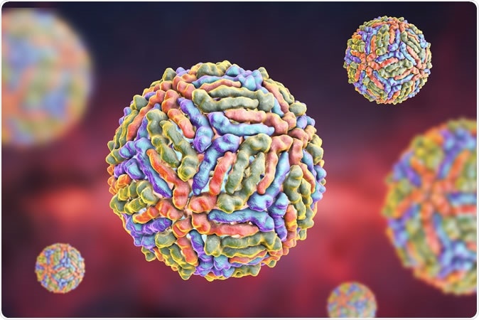 West Nile virus (WNV), 3D illustration Credit: Kateryna Kon / Shutterstock