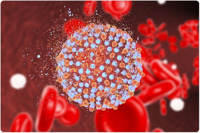 Hepatitis C virus, 3D illustration Credit: Kateryna Kon / Shutterstock