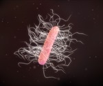 Recent discovery about C. difficile could pave the way for new treatments
