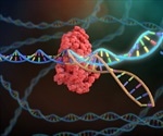Editing Sperm DNA using CRISPR