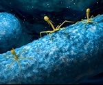 Researchers use phage therapy to successfully treat alcoholic liver disease