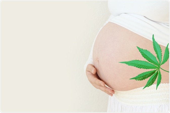 cannabis pregnancy