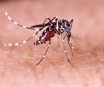 New compound may enhance dengue vaccine efficacy by simulating amino acid deficiency