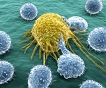 Cell factors decide if a cancer grows or dies, says new study