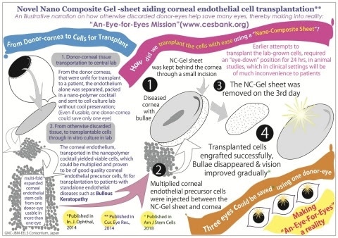 GN Corporation granted Indian patent for novel corneal cell transplantation using nano-composite gel sheet