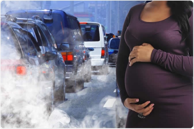 A new report from the National Toxicology Program (NTP) suggests that traffic-related air pollution increases a pregnant woman