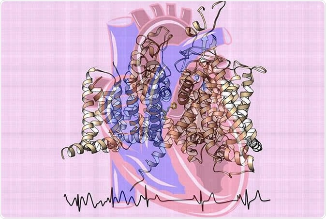 Cardiac sodium channel structure cartoon with binding of the antiarrhythmic drug flecainide shown as yellow sticks. The channel drawing is superimposed over a heart image. The electrocardiogram