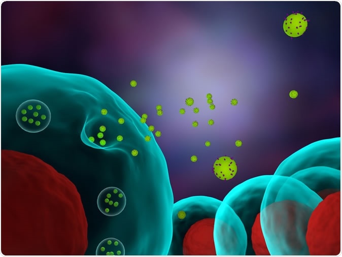 3d illustration of cells releasing exosomes. Image Credit: Meletios Verras / Shutterstock