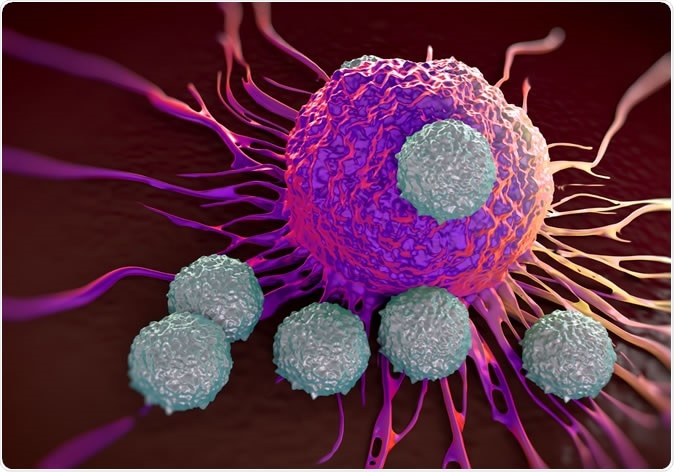 T-cells attacking cancer cells - Illustration Credit: Shutterstock
