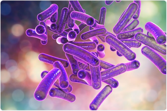 Rod-shaped bacteria Shigella which cause food-borne infection shigellosis or dysentery, 3D illustration Credit: Kateryna Kon / Shutterstock