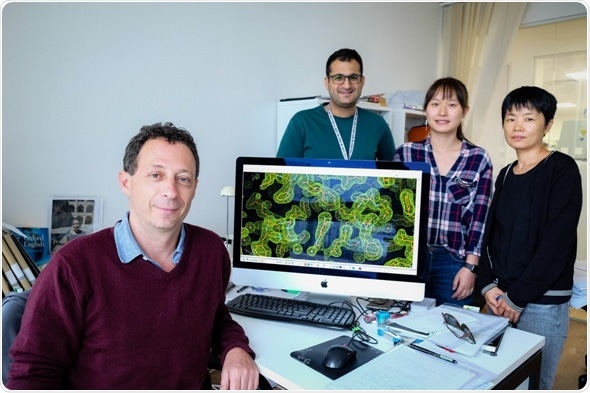 NTU scientists find potential route to disabling viruses causing severe respiratory diseases