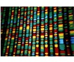 Human genetics evidence predictive of drug development success, study shows