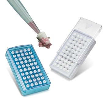 Cell Strainers for 1000 Microliter Pipette Tips—Flowmi