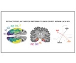 Recognizing and drawing an object engage the brain in similar ways