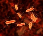 E.coli infections linked to chopped salad kits, CDC warns